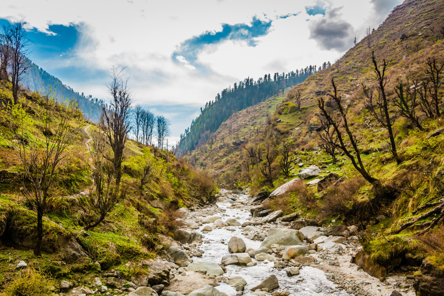 Tirthan Valley