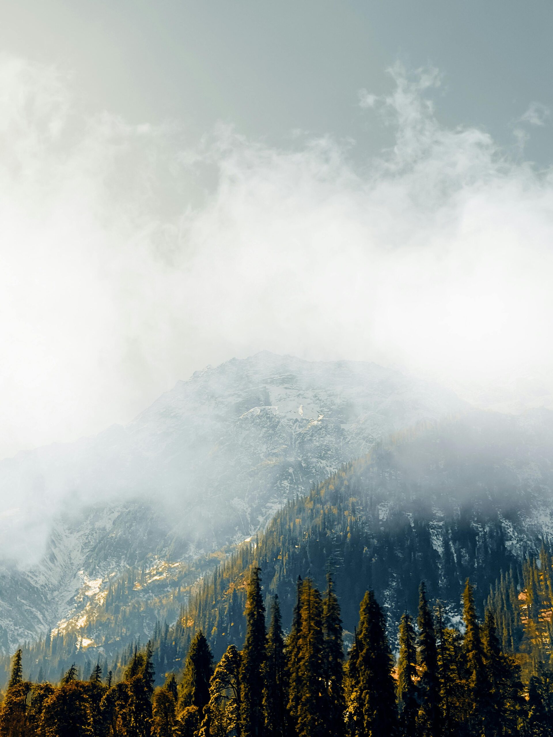 Misty mountain peak surrounded by evergreen trees in Manali, India.